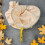 Canvas Bee Net Bee Catching Tool Swarm Catcher Collector 4