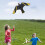 Scare Birds Nylon Eagle Kite Bird Repeller Garden Protector Farm Protector 4