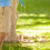 Yo-Yo In Legno Naturale Per Bambini Per Coordinamento 5