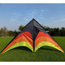 Sport Kite Large Outdoor Flying Toy 110cm Multicolor Design
