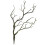 Alberi Decorativi Da Interno In Sabbia Per Tavolo 5