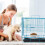 Cage Pliable Avec Toilette Pour Chat ( ) 10