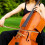 Cello Wolf Sourdine Pour Ba33 3