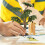 Plastic Model Tree: Miniature Landscape Decor For Railroads And Crafts 5