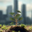 Plastic Model Tree: Miniature Landscape Decor For Railroads And Crafts 4