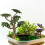 Plastic Model Tree: Miniature Landscape Decor For Railroads And Crafts 6