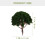 20Pcs Model Scenery Landscape Trees 3Cm-8Cm Dark Green 2