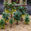 15Pcs Model Train Palm Trees For Tropical Landscape N Z Scale 7
