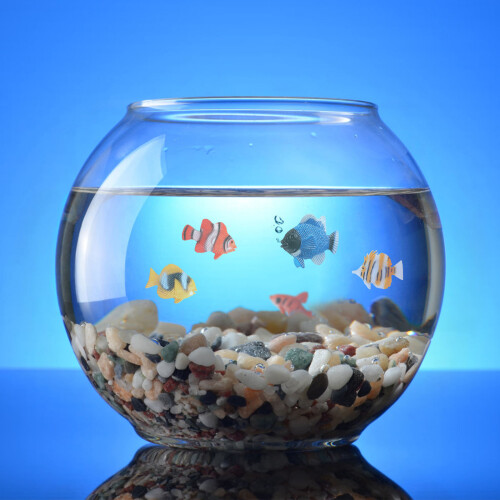 12Pcs Mini Tropical Fish Figure Kids Learning Educational Toy 2