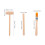 Dinosaur Tools Kit 6Pcs Archaeological Excavation Set For Kids 2