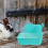 Toilette Pour Animaux Intérieure Hamster Gerbille 4