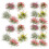 5Pcs Static Flower Tuft Artificial Grass For Railway Miniature 1