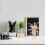 Set Trasparente Per Action Figure E Modellini 8