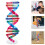 Double Helix Structure For Human Gene Science Teaching 11
