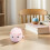 Plush Animale A Carica Pigotta Maiale Per Bambini 4
