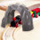2 Pezzi Tunnel Decorativo Bambini 8