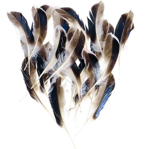 100 Pezzi Piume D'Oca Naturali Per Realizzazione Dream Catcher