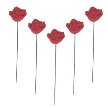 5 Miniature Rose Fiori Casa delle Paesaggio