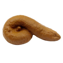 Fake Poop Prank Prop Gesimuleerde Kruisstoel Voor Feest April Foolsdag