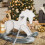 In Per Cavallo A Bambini 5