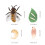 Set Ciclo Giocattoli Educativi Bambini 8