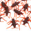 50 Cavallette Sintetiche Realistiche Per Scherzi 8