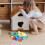 Educativo Bambini Con Avvitatore E Viti Colorate 5