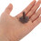 50 Pezzi Miniature Modello Base Diorama Paesaggio 4