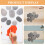 10 Pezzi Fiume E Lisci Per Pittura E Decorazione 8