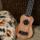 Ukulele Infantil Iniciante Plástico para Meninos e 11