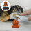 De Para Unhas De Cachorro, Com Desmontagem 6