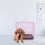 Dobrável Com Para Cães Poodle, E Coelhos 3