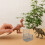 3Pcs Miniatura De Brinquedo Acessórios 4