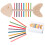 1 Conjunto Brinquedo Montessori Para Crianças Cores E Classificação 6