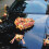 2 Stuks Bloemindeling Modder Waterabsorptie Bloembodems 10