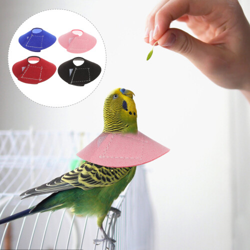 4 Pièces Collier Pour Petits Oiseaux Anti-Griffures Pour Perroquets 1