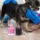 6 Unidades Tinta Para Unhas De Cachorro À Base De Saudável 7