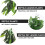 3Pcs Com Ventosas Para Habitat De Répteis, , E Cobras 8