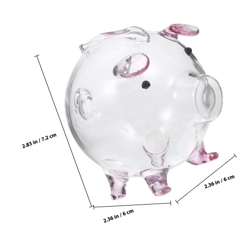 Piggy Bank De Borossilicato Transparente Para 1