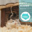Pet Toilet 6