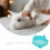 Pet Toilet 5