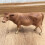 Dairy Cow Model Simulation Djurmodell För 7