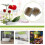 2St Blomsterrangemangshållare Fästbas För Blommor 9