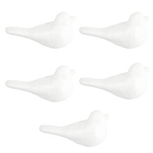 5Pcs Diy Fågelhändverk Embryonallimf Leksaker För Barn