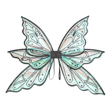 Butterfly Wings, Fairy Wings, Womens Butterfly Wings, Fairy Wings for Girls Adults, Ladies Girls FaiBlack gilding