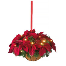 Outdoor Decoration with Timer Pre-Lit Christmas Hanging Basket, Battery-Powered LED Lights Weather-Proof Artificial Greenery for Indoor Outdoor Holida
