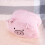 Plush Portable Hand Warmer Pillow With Safe Heating (Pink Pig) 10