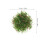 10Pcs Artificial Grass Clusters For Model Train Dollhouse Miniatures 2