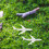 5 Delar Flygplansmodeller, Realistiska Miniatyrer 4