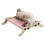 Cat Hammock Window Bed Pet Winter Hammock Bed No-gray pink 1